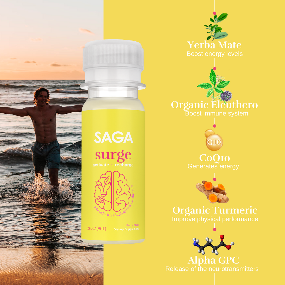 Surge Saga Surge Saga
